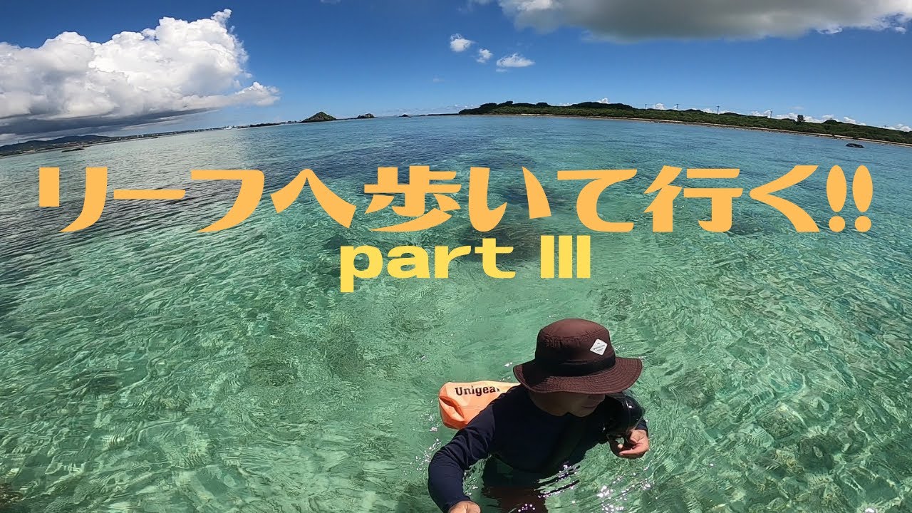 ベタ凪の美しい海を歩いてリーフ迄♪(≧▽≦)  第330話