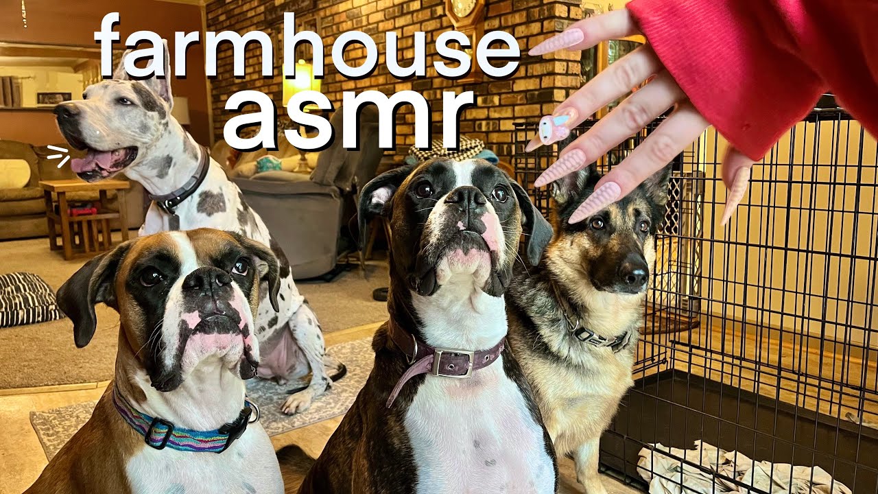 Tapping around in Farmhouse - ASMR