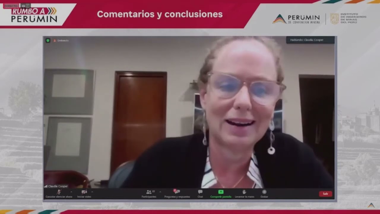 Conclusiones de 
