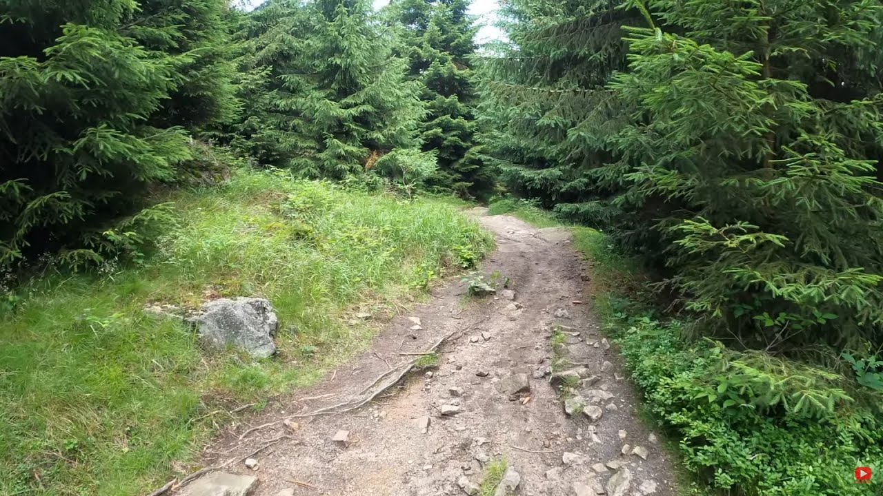 Von der Stempelsbuche im Harz zur Bremer Hütte - Echtzeit