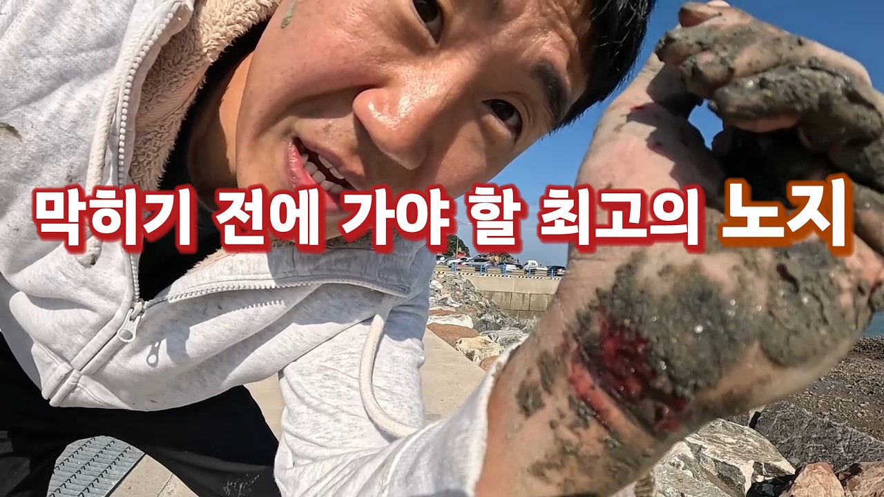 아직 주차장법이 적용되지 않은 최고의 노지 l 장고항