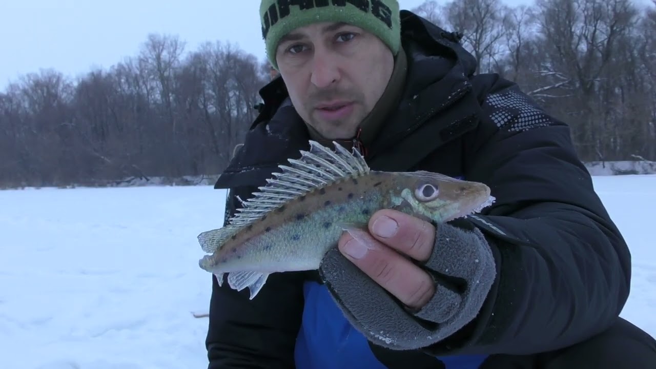 Дороги Замело, Але Рибалка Продовжується. Донки і Жерлиці