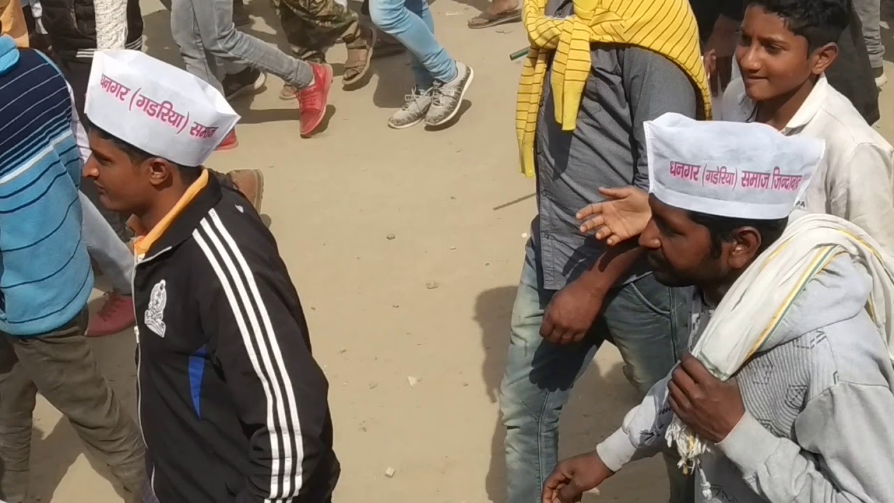 Dhangar or pal samaj sc certificate andolan