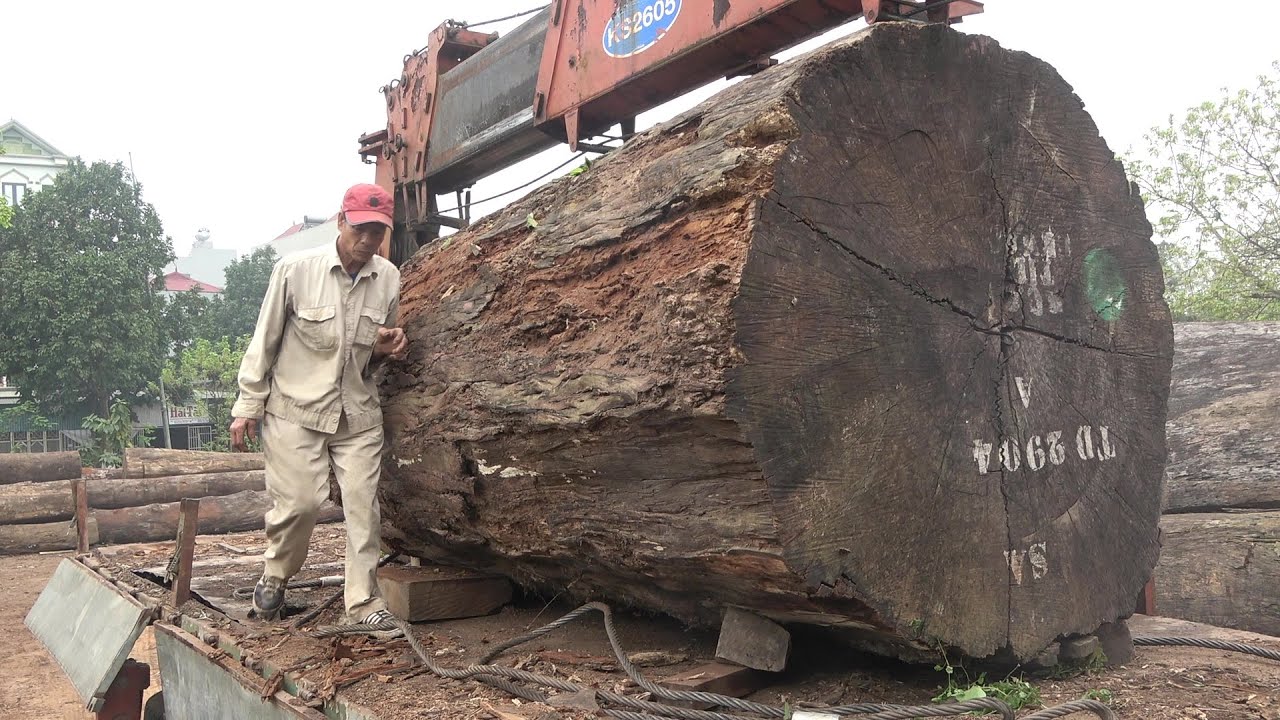 Amazing Biggest Wood Sawmill Machine Working - Sawmill Factory With Big Logs