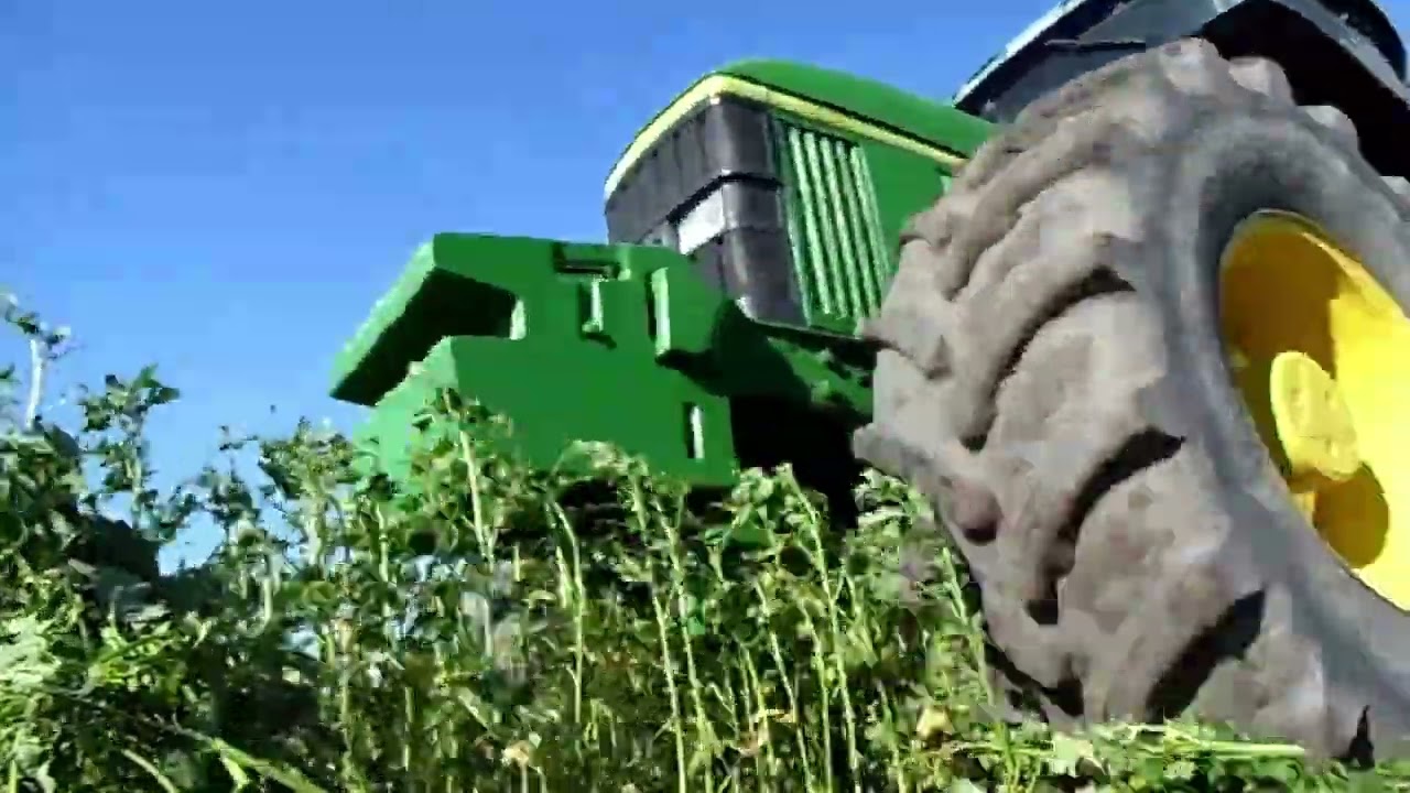 Talerzowanie gorczycy 2024. JD 6506