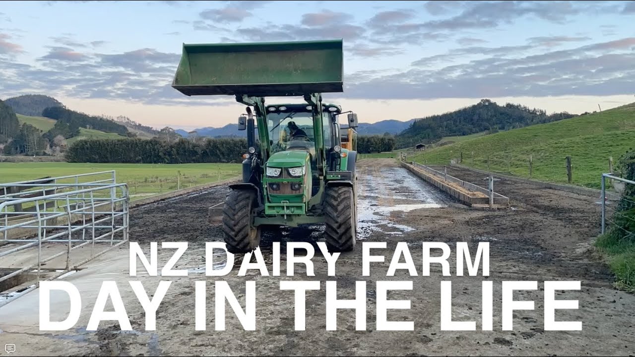 NEW ZEALAND FARMING - DAY IN THE LIFE