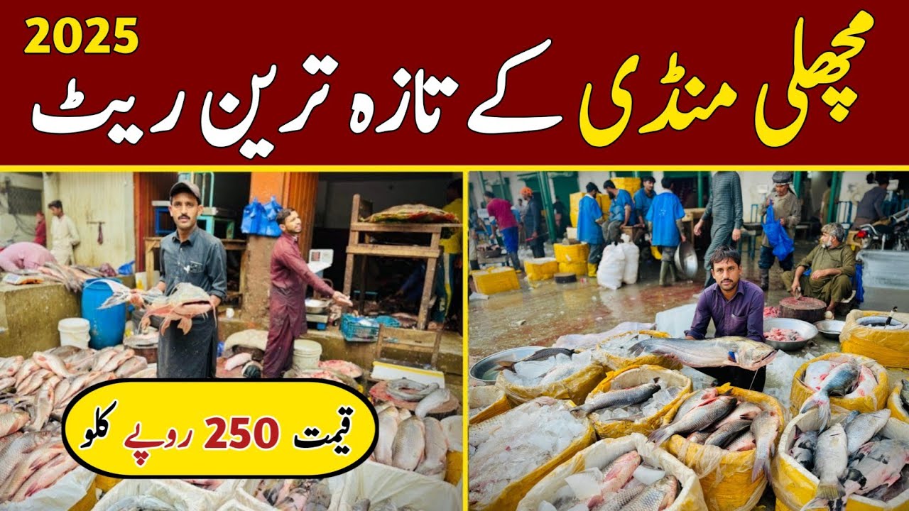 Fish Market Lahore | Fish Wholesale Market | Machli Mandi Lahore | Fish Rates 2025 | Hamid Ch Vlogs 