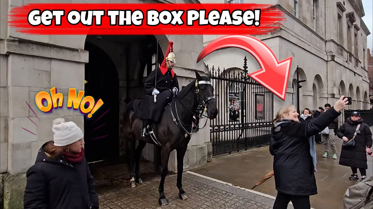 Tourist Poses for a Selfie Inside the Box — King’s Guard Issues Polite Warning 👑