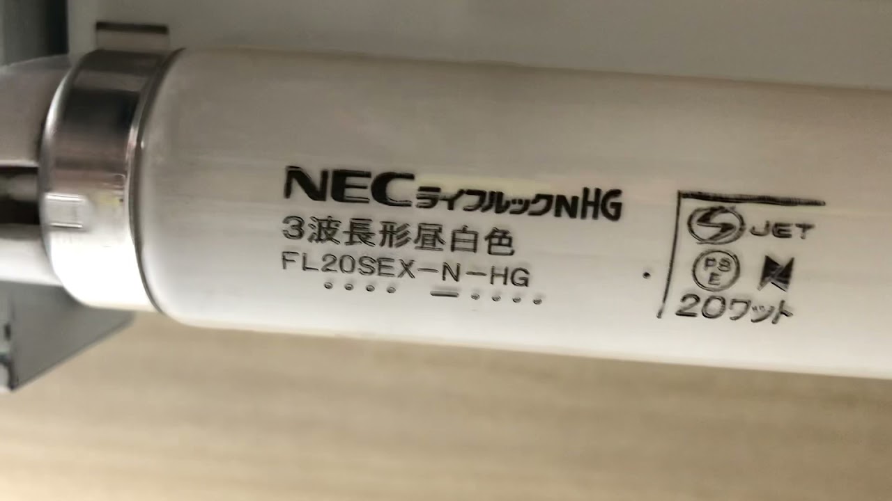 NEC 20ワット切れているか切れていないか粒が私はわかりませんノーライフルックコメント欄でお願いします