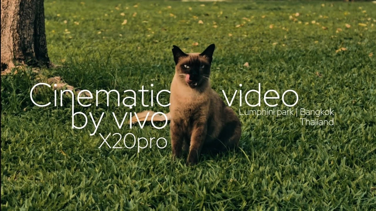 Example video from #vivo #x200pro | ตัวอย่างวิดีโอจาก vivo x200pro #เครื่องนอก