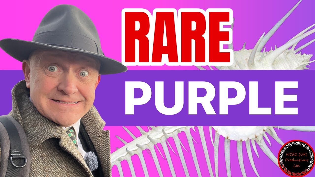 Rare Roman Purple