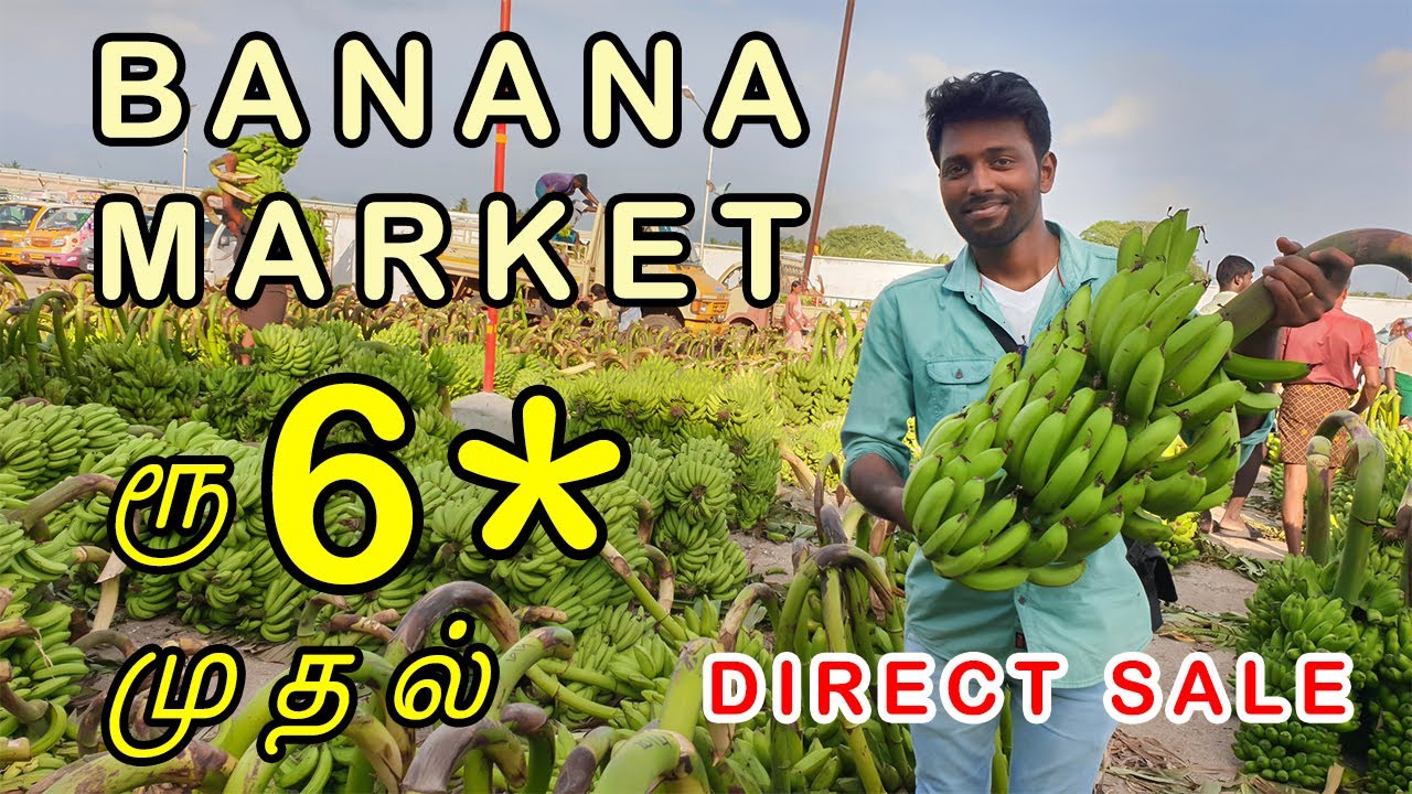 அனைத்தையும் மலிவு விலையில் வாங்கலாம் | Biggest Banana Market in tamilnadu | Nagercoil Appta Market