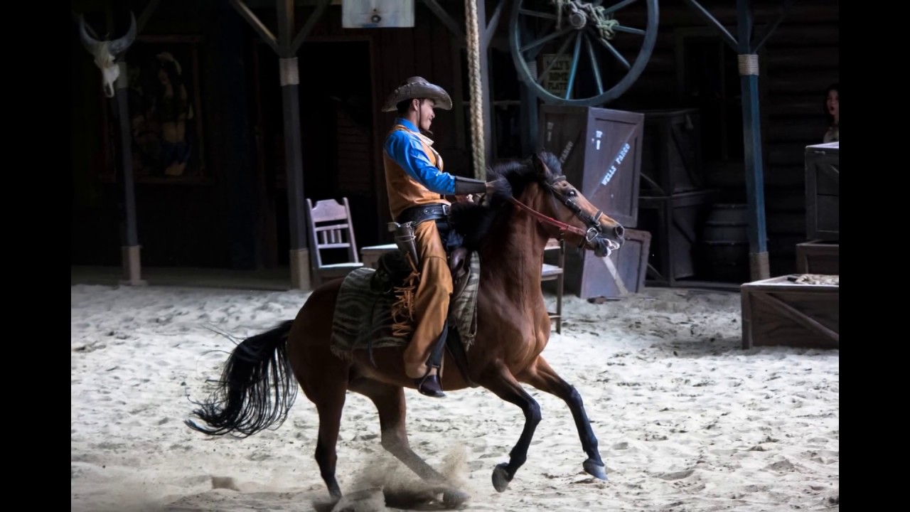 Cowboy Show