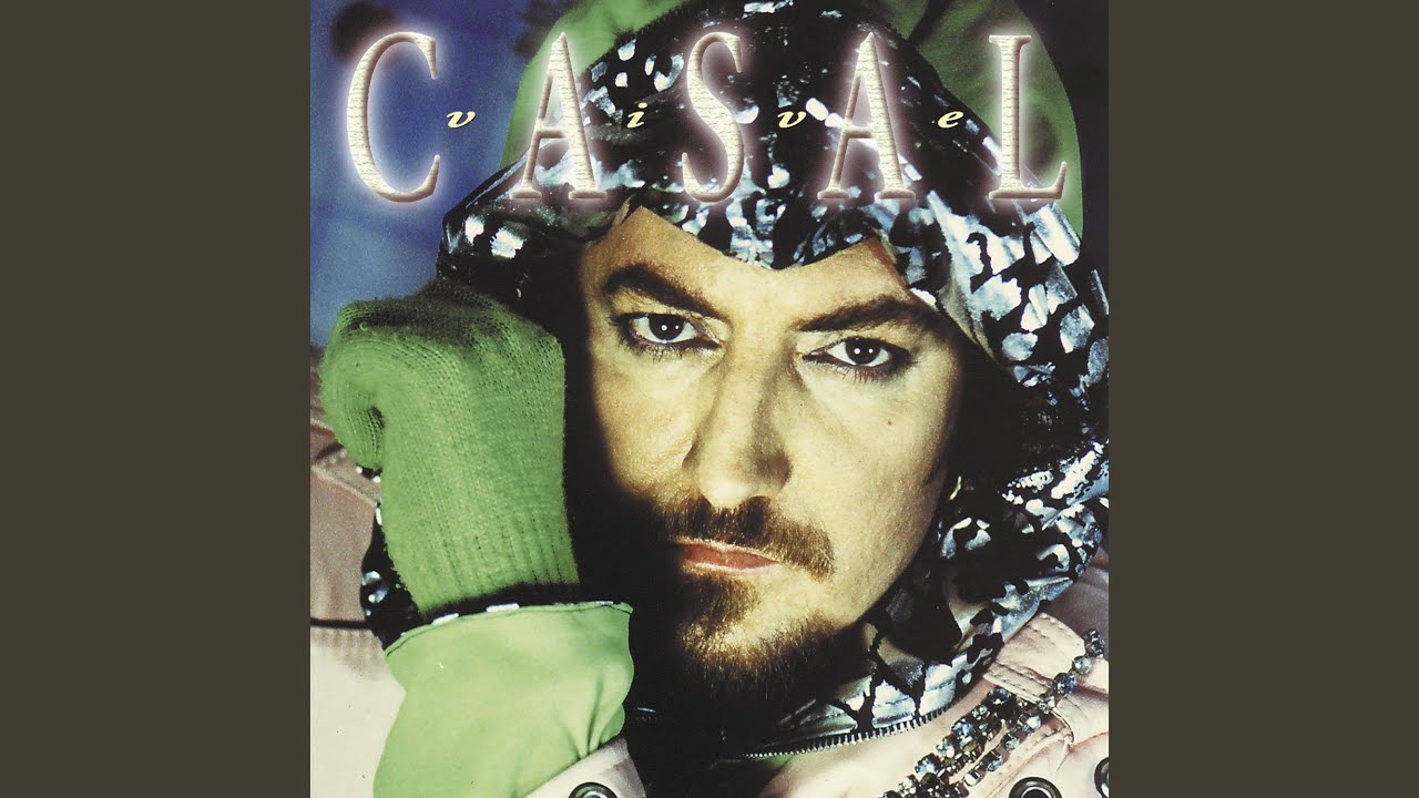 Stupid Boy - Versión maxi en español