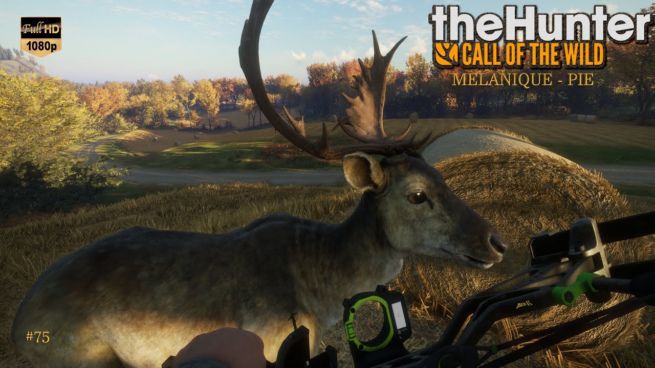 THEHUNTER COTW #75 UNE BELLE CHASSE À L'ARC SUR LA RÉSERVE D'HIRSCHFELDEN
