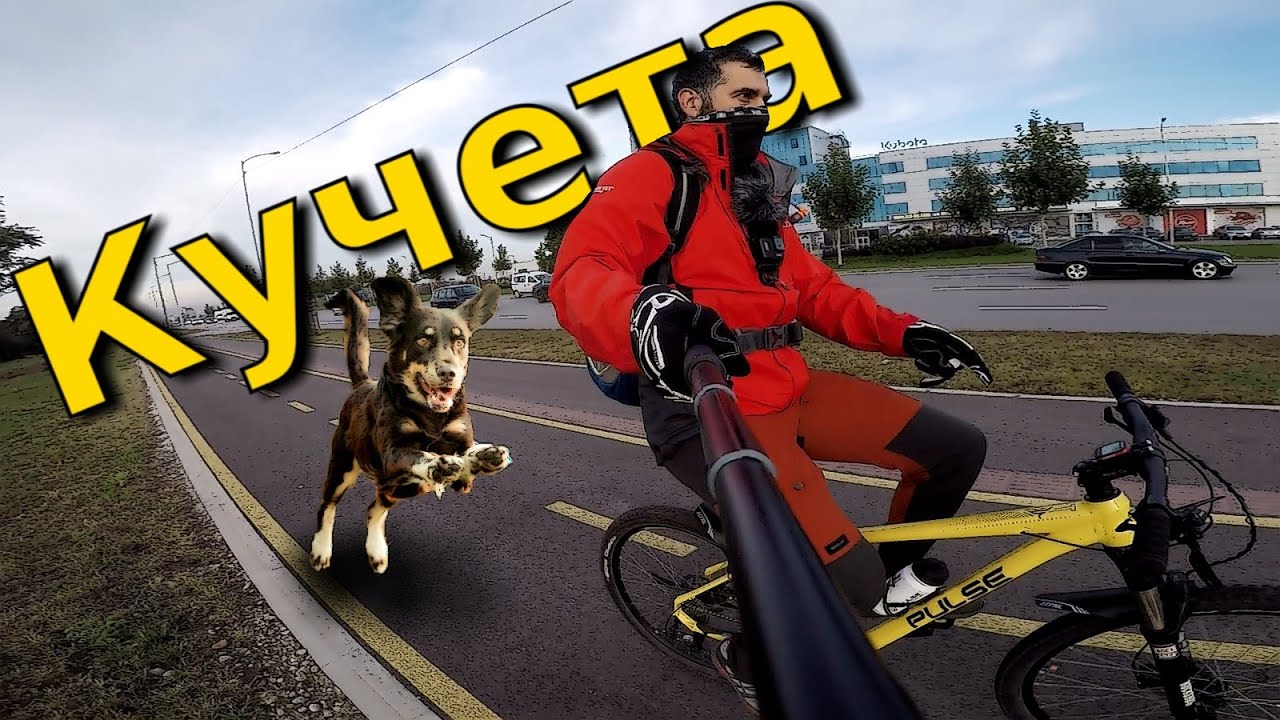 Бесни Кучета срещу Велосипедисти / Angry Dogs vs Cyclists