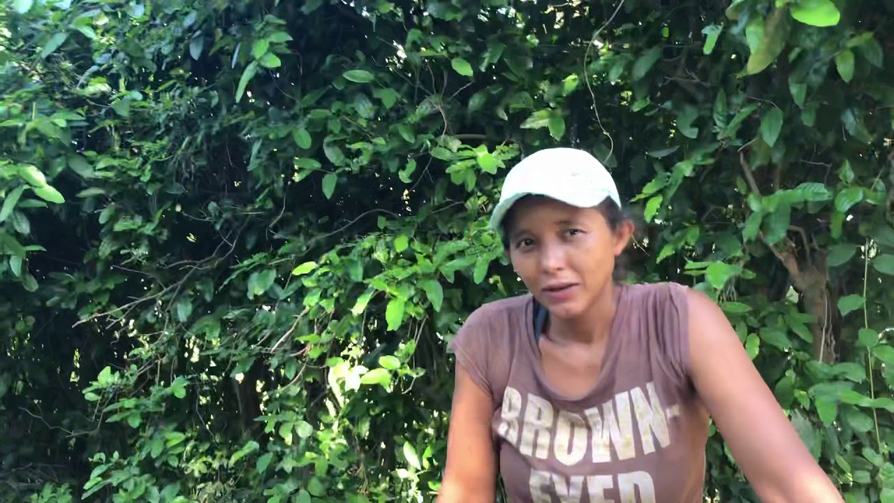 Fovial  arreglando la calle del cantón Cangrejera y yendo a la playa los pinos 🌲
