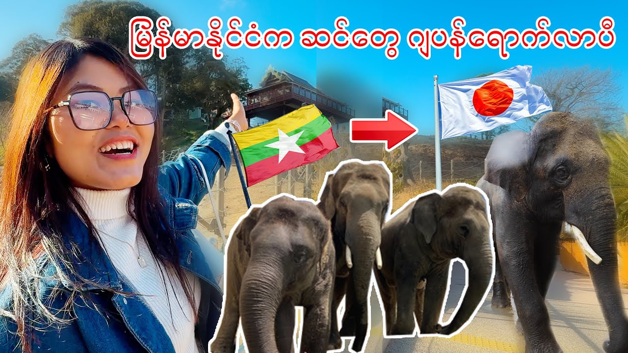 ဖုခုအိုကမြို့မှာ မြန်မာနိုင်ငံက ဆင်တွေရောက်နေပီ_Fukuoka| Myanmar| Japan_Vol.108