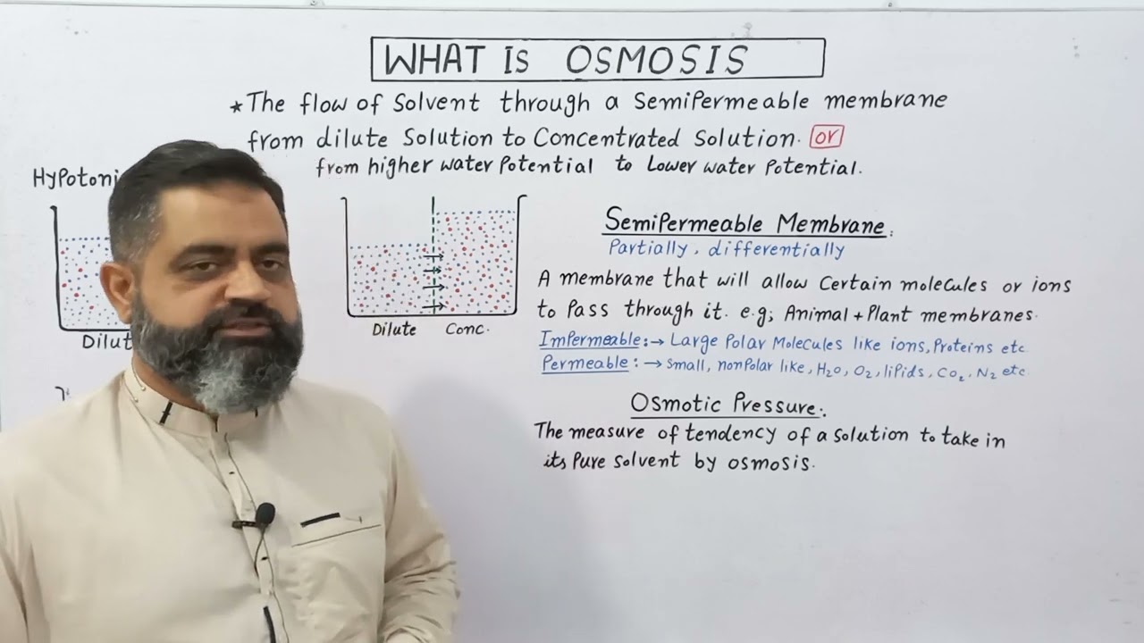 Osmosis Urdu/Hindi medium @prof.masoodfuzail| Semipermeable membrane | What is Osmosis |