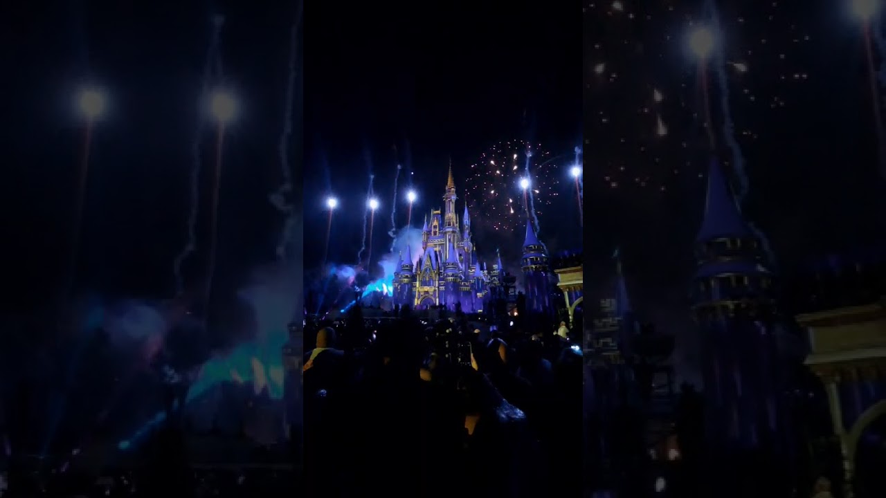 Disney Adventure 4