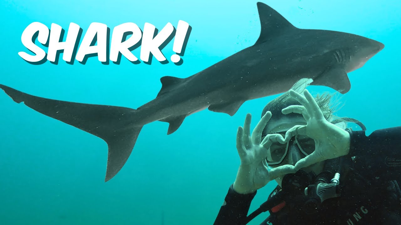Mexico has a secret…. | Cabo Pulmo National Park