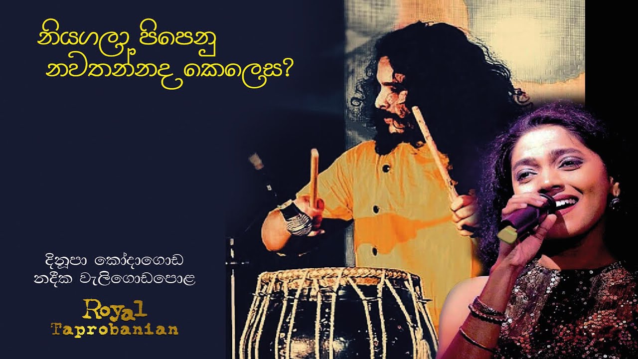 නියගලා කවි - දිනූපා කෝදාගොඩ ,නදීක වැලිගොඩපොල | Royal Taprobanian