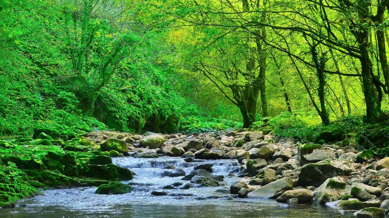 Soothing Native American Flute Melodies | Peaceful Instrumental Music
