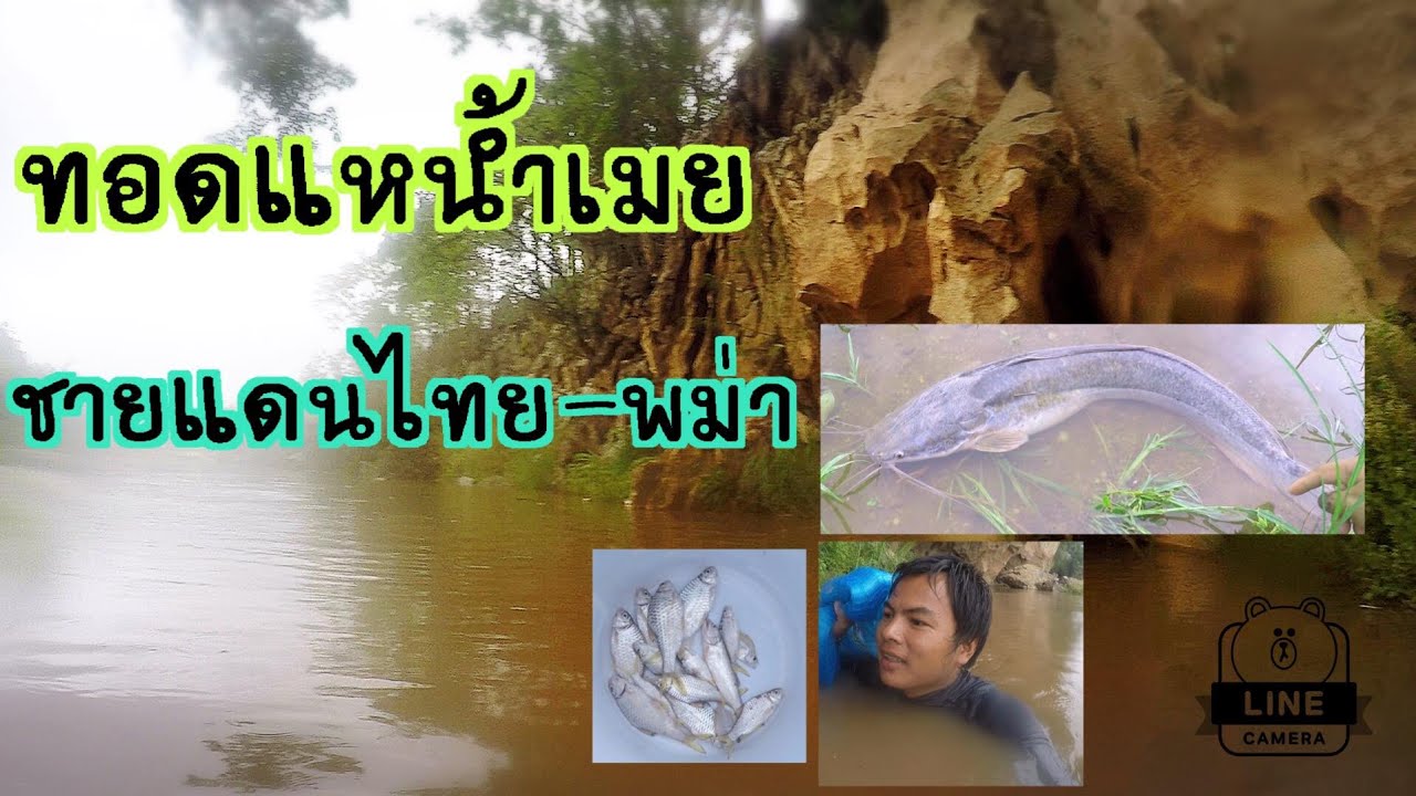หว่านแหแม่น้ำเมยแม่สอด วิวสวยๆ หมายชายแดนไทย พม่า มัจฉาจอมป่วน Maesot