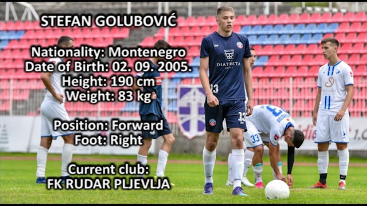 STEFAN GOLUBOVIĆ - PROMO 2023