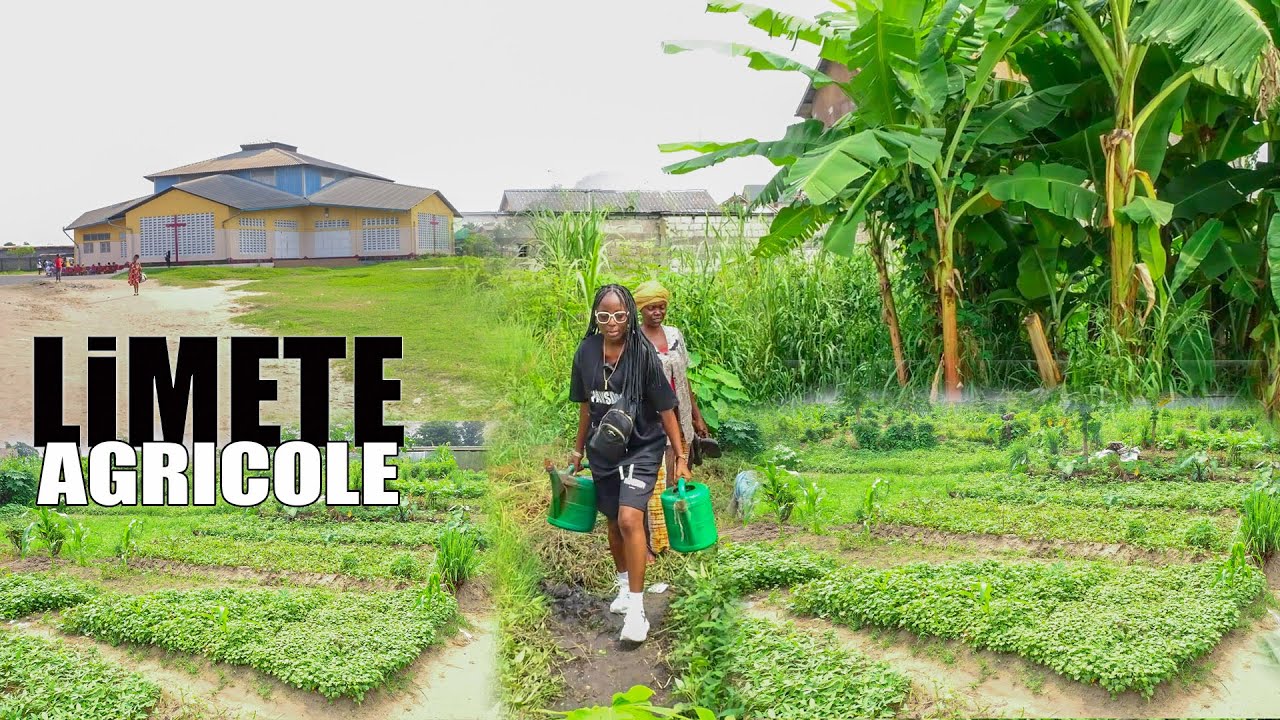 DÉCOUVERTE LIMETE AGRICOLE LE GRENIER DE KINSHASA. LA RICHESSE NON EXPLOITER SE CACHE DANS CE COIN…