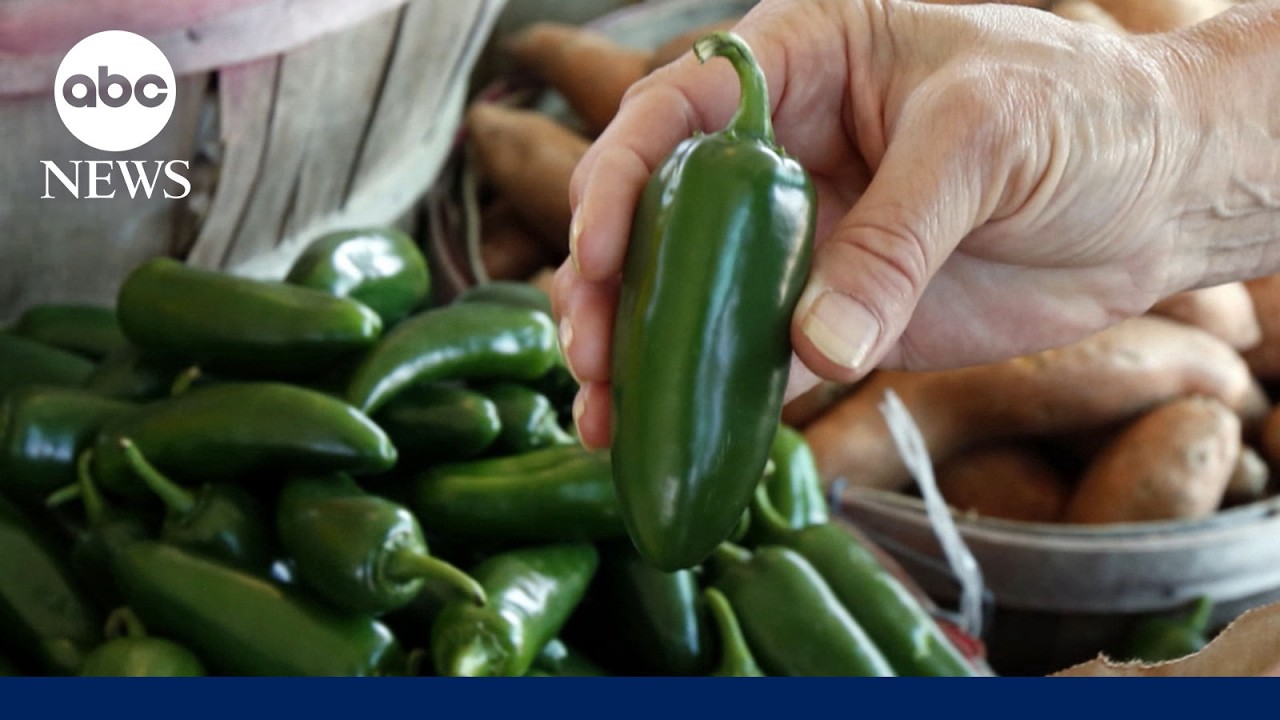 Thousands ill in twin food-borne illness outbreaks