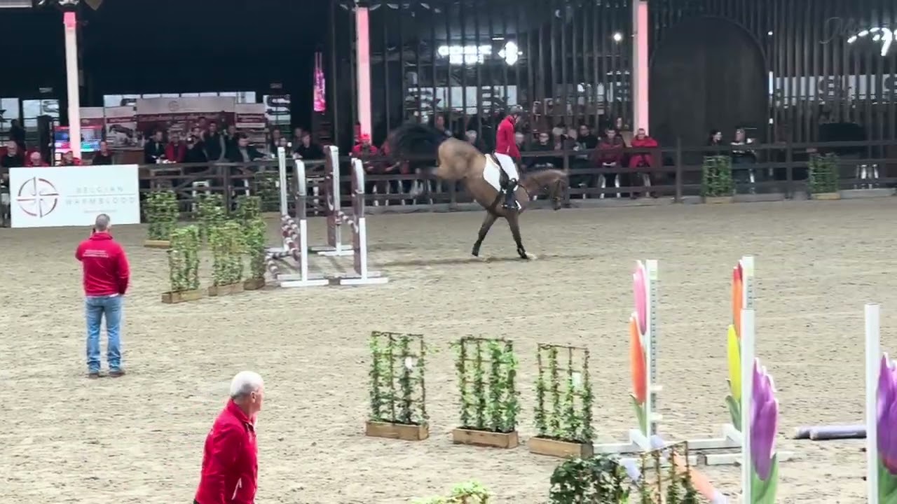 Airborne Vd Heffinck 3e fase BWP