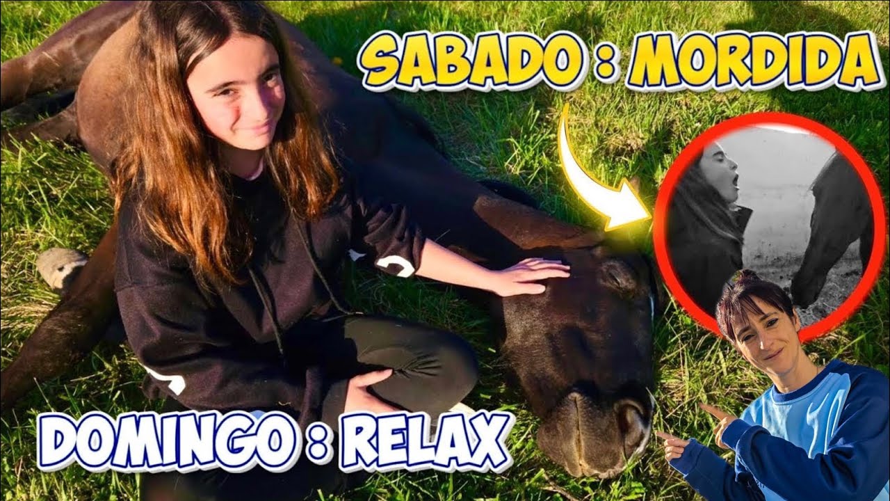 Fin de semana INTENSO en la hípica 🐴 a Aldara le pasa de TODO 🫣 #vlog #caballos #equestrian