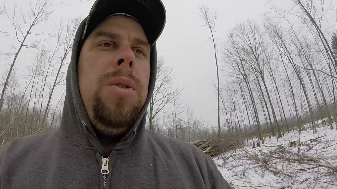 CHIPS, FIREWOOD, LOGS!.....WHATS THE DIFF?!!!!!!!