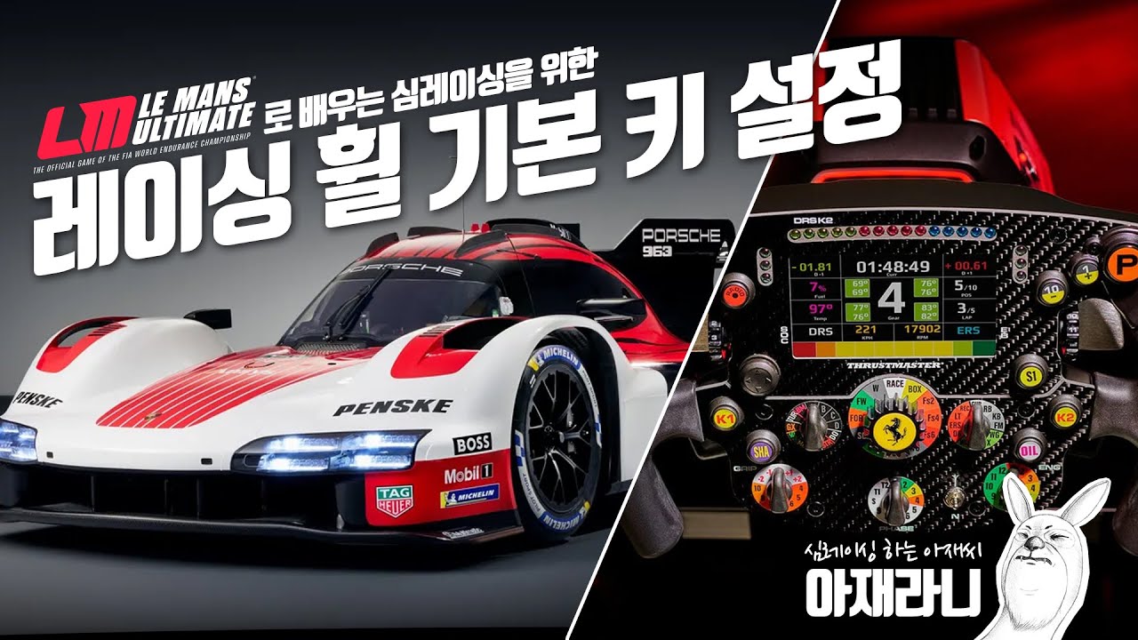 르망 얼티메이트로 배우는 