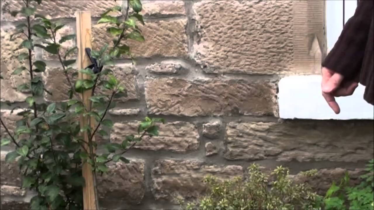 Growing cider apple trees in the North of Scotland