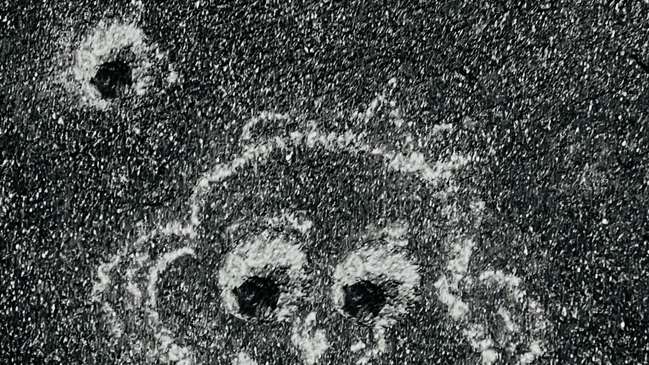 Lenin - Sperm Whale (demo) 11/11/24