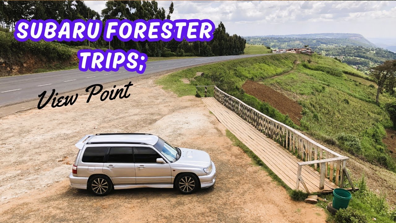 Subaru Forester  Road Trips: View Point