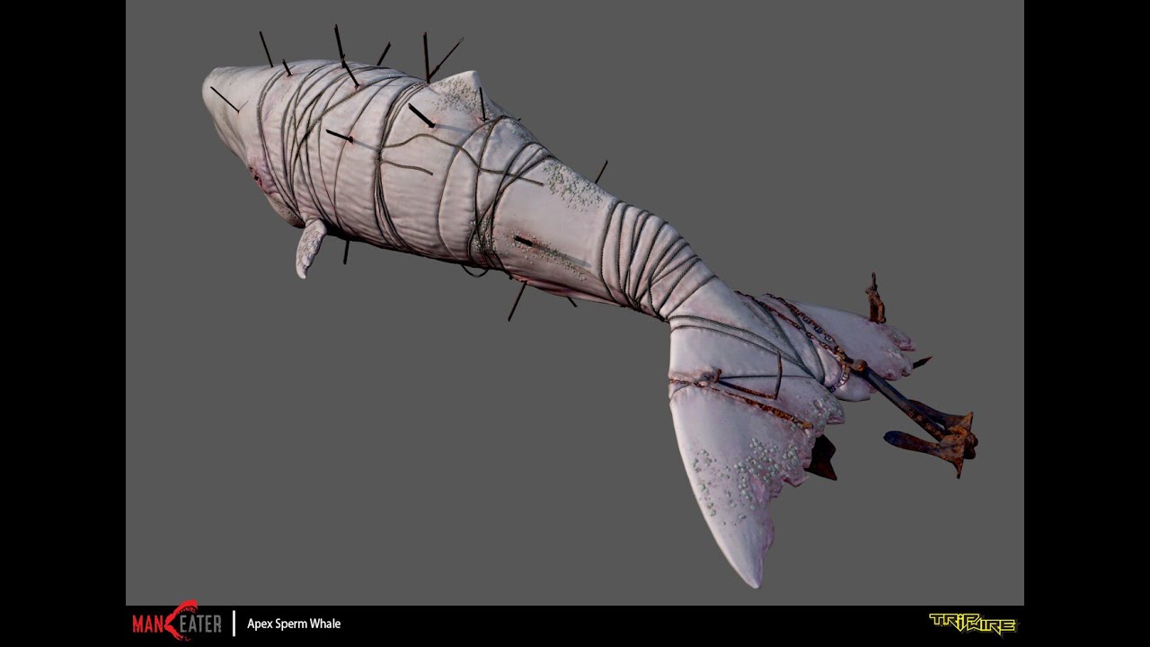 The Moby Dick MANEATER Strongest Apex (Mocha Dick Ancient Albino Sperm Whale)