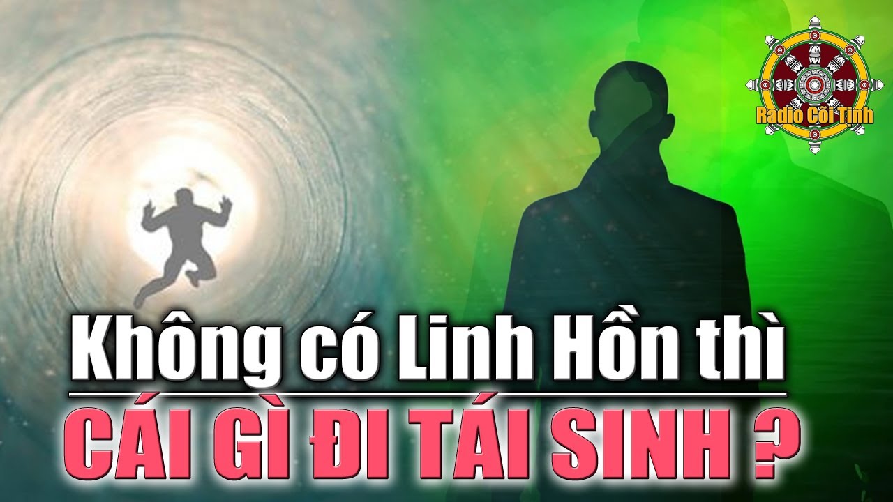 Không Có Một Linh Hồn Vĩnh Cửu thì Cái Gì Đi Tái Sinh?