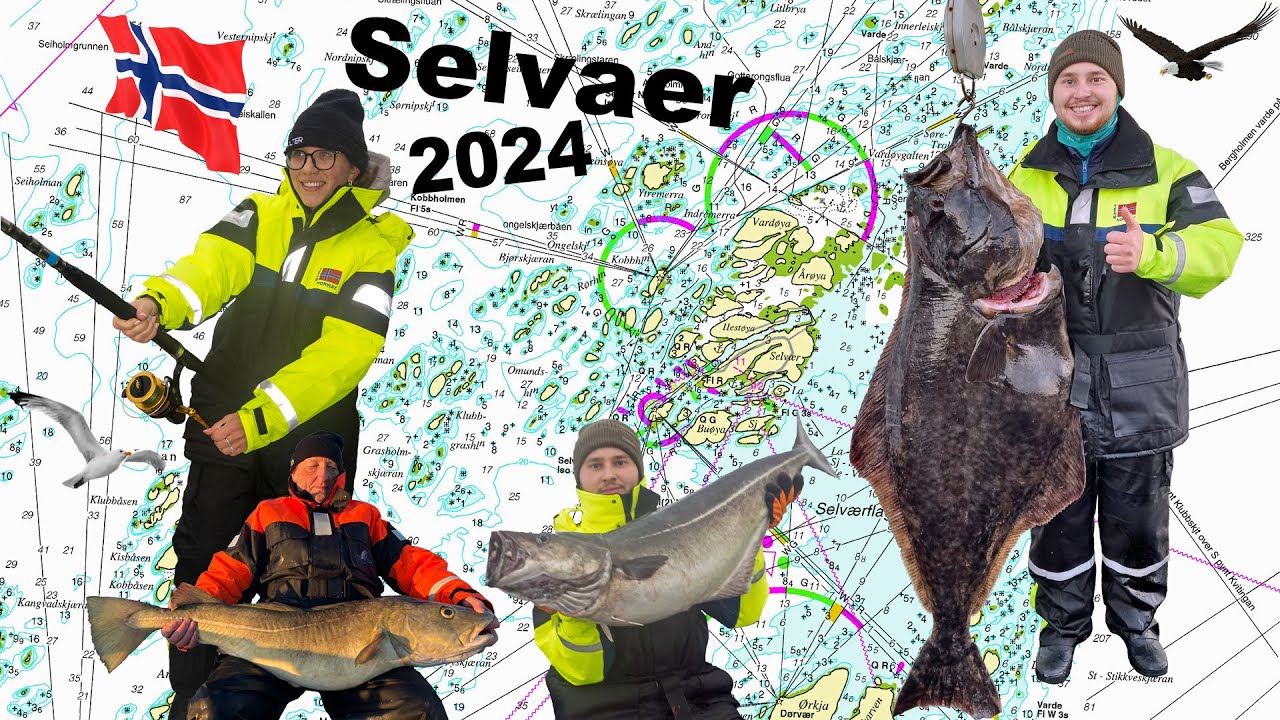Рыбалка в Норвегии 2024 — много рыбы, много ветра, Сельваэр