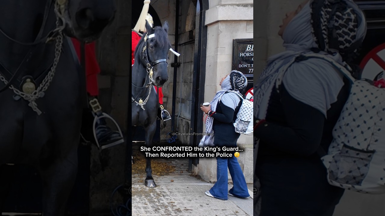 YOU CAN&rsquo;T DO THIS! #horseguards #tourist #london