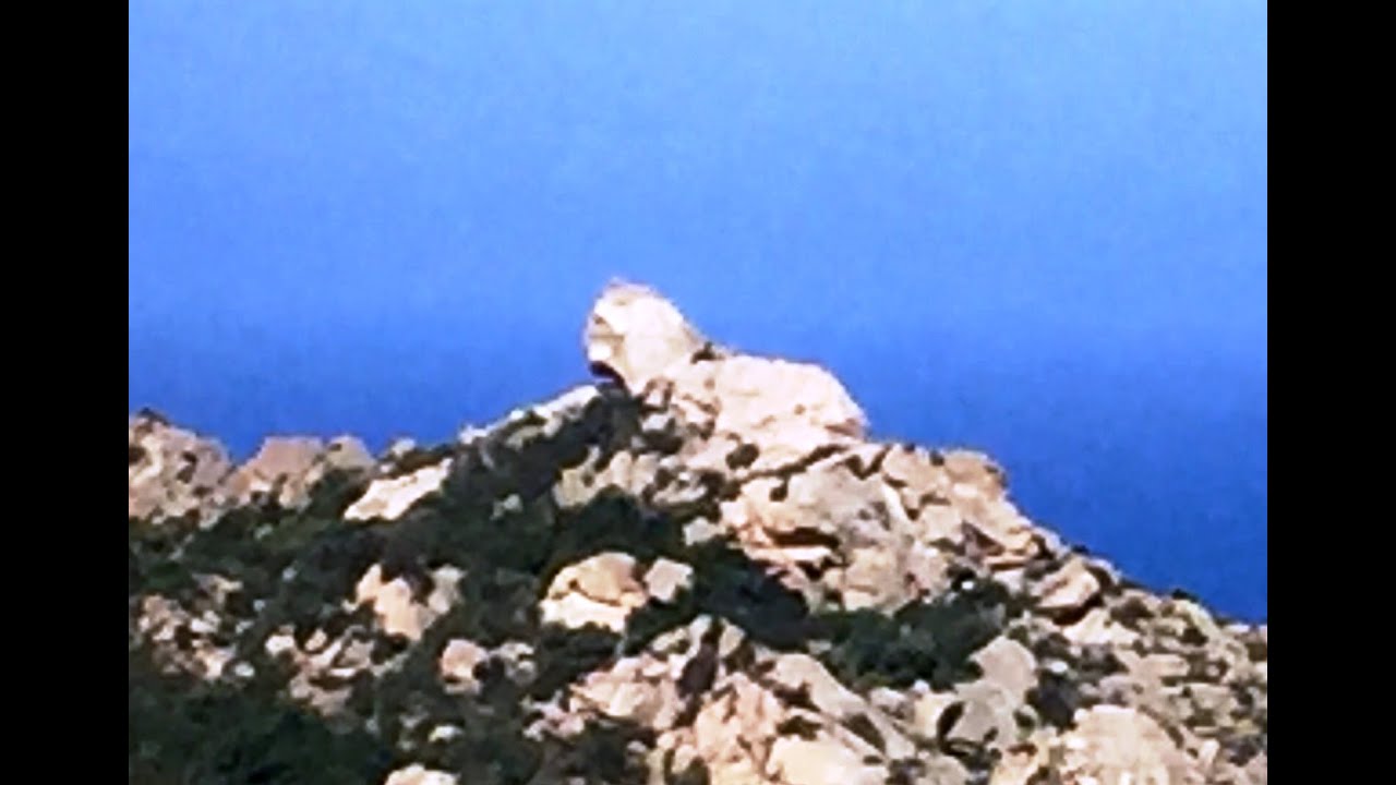 Roccapina 🦁 Corsica