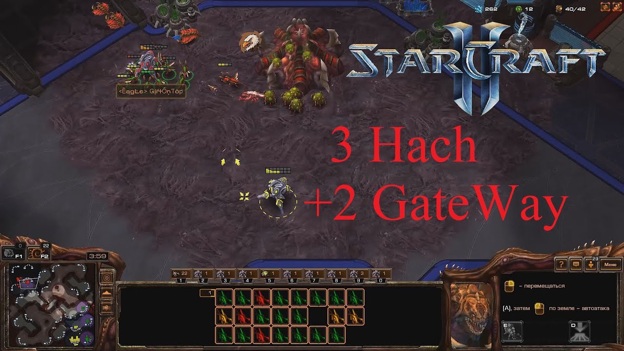 ZP vs ZP ГМЛ и Нуб пара? - StarCraft 2 LoV