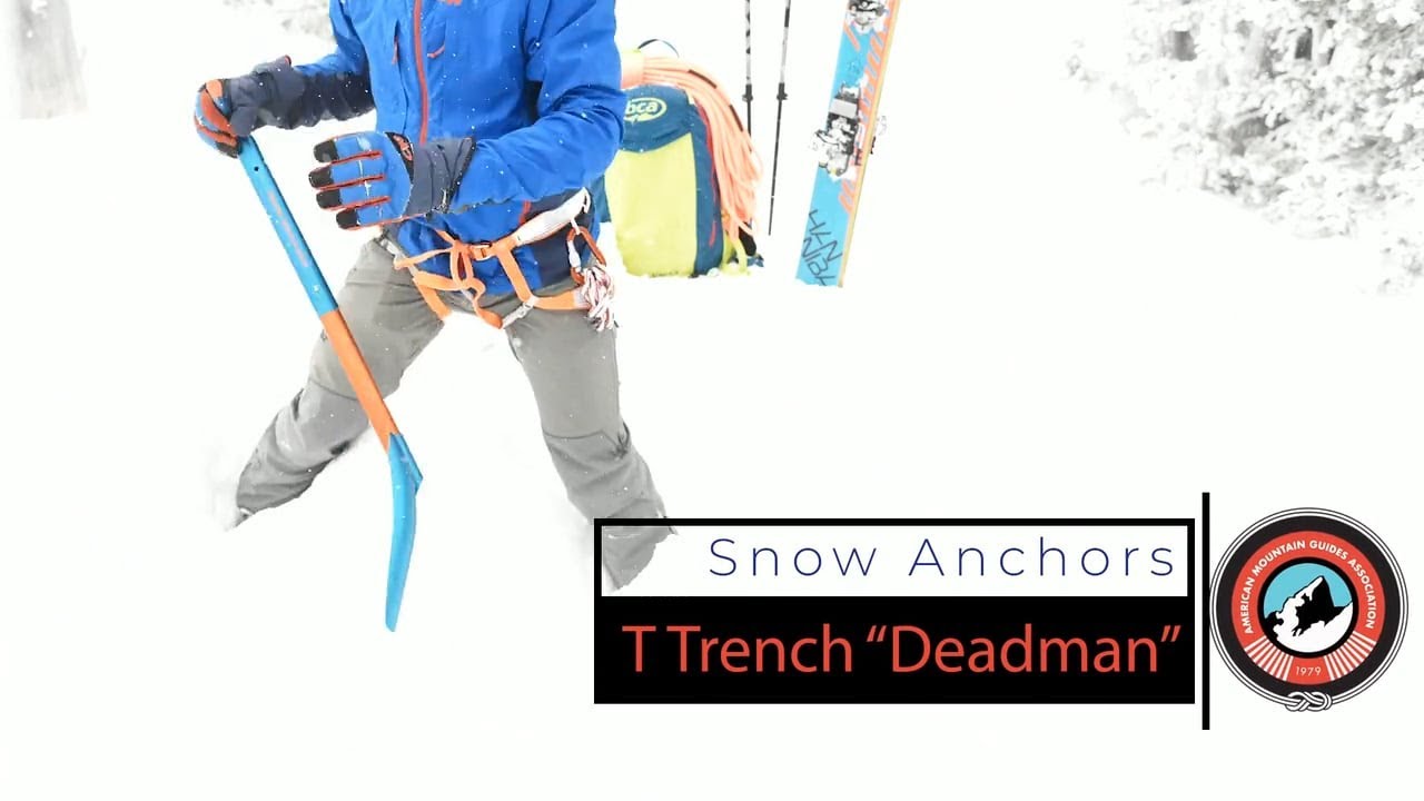 T Anchor