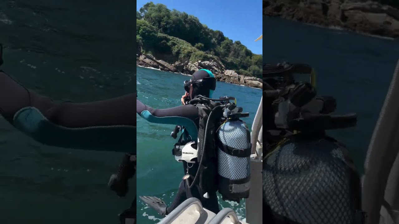 Scuba Diving in French cold water in the Atlantic Ocean near Spain #scuba #diver #atlanticocean #uw