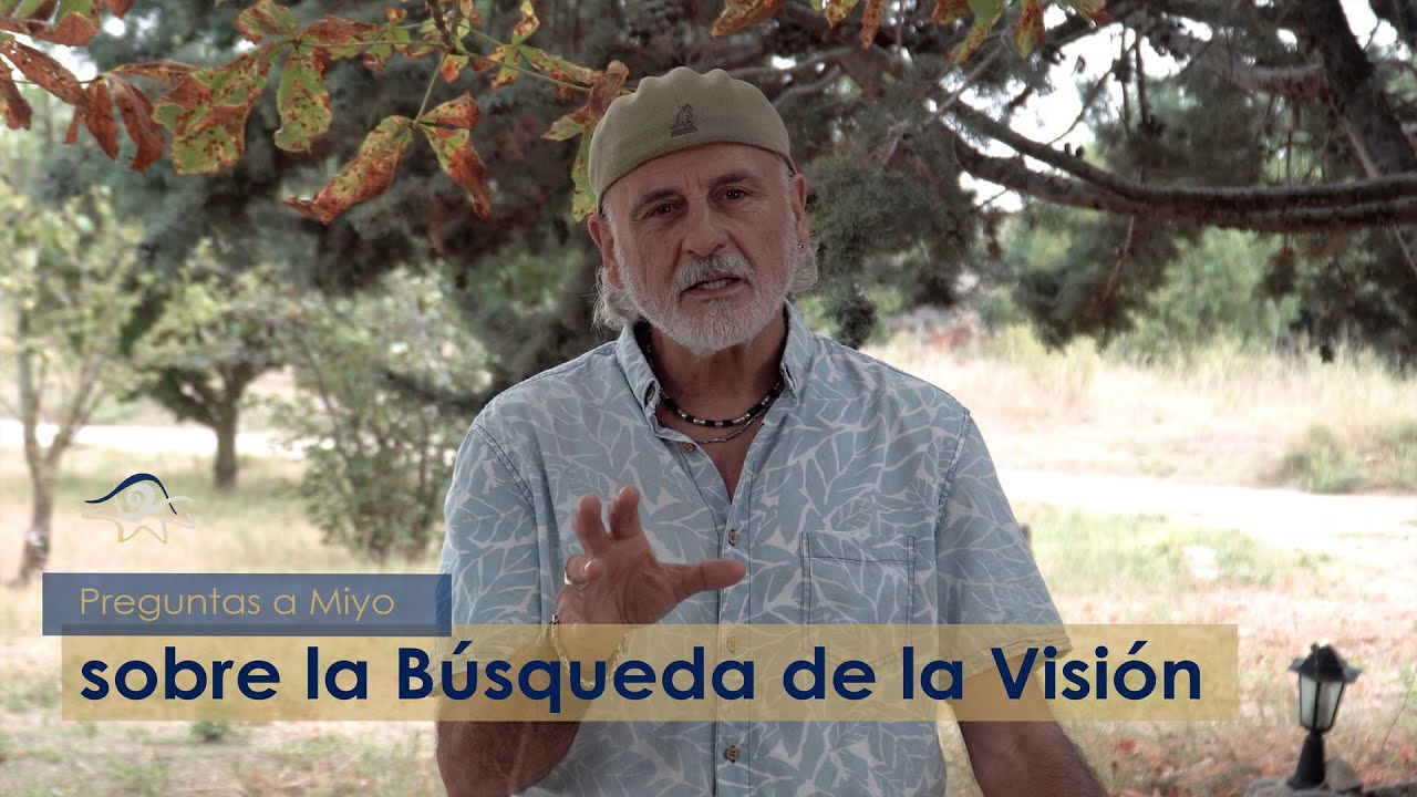 Preguntas a Miyo: sobre la Búsqueda de Visión
