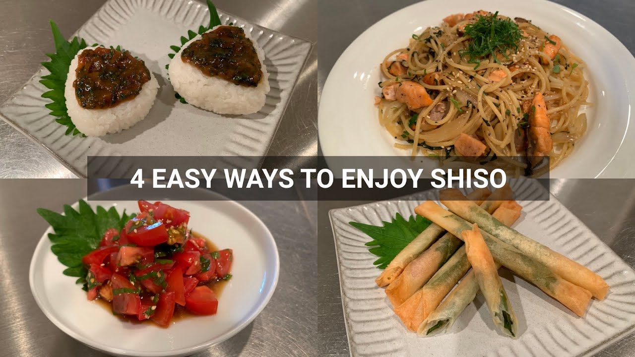 4 Easy Ways To Enjoy Shiso (Japanese Basil) Recipes