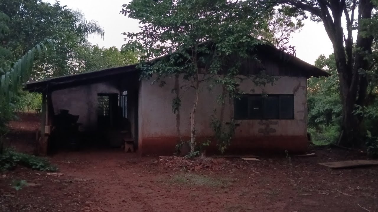 MARIDO FAZ COM A ESPOSA O MESMO QUE O PASSARINHO JOÃO DE BARRO FEZ COM SUA PARCEIRA