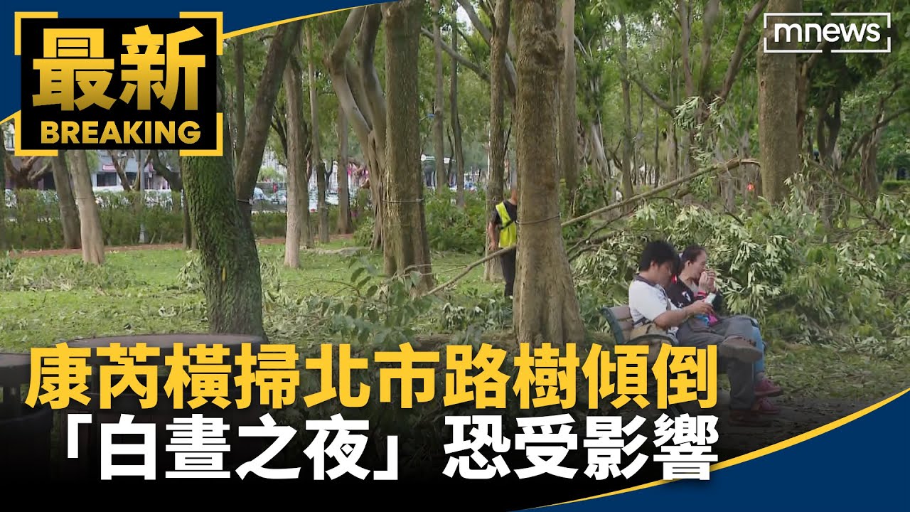 康芮橫掃北市路樹傾倒　「白晝之夜」恐受影響｜#鏡新聞